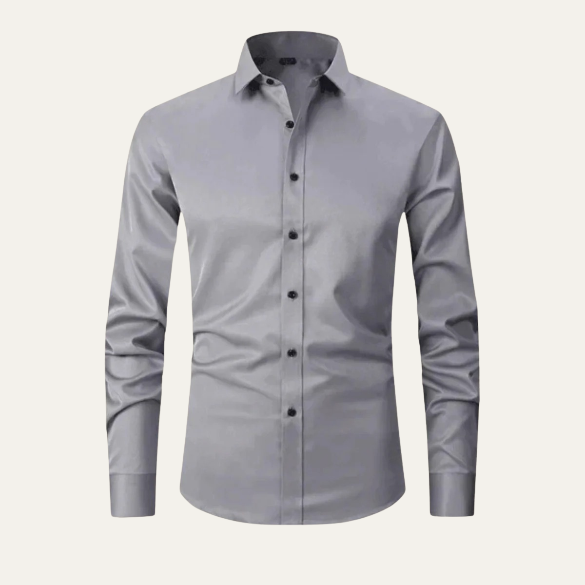 The Rhinebeck Men's Slim Fit Business Shirt